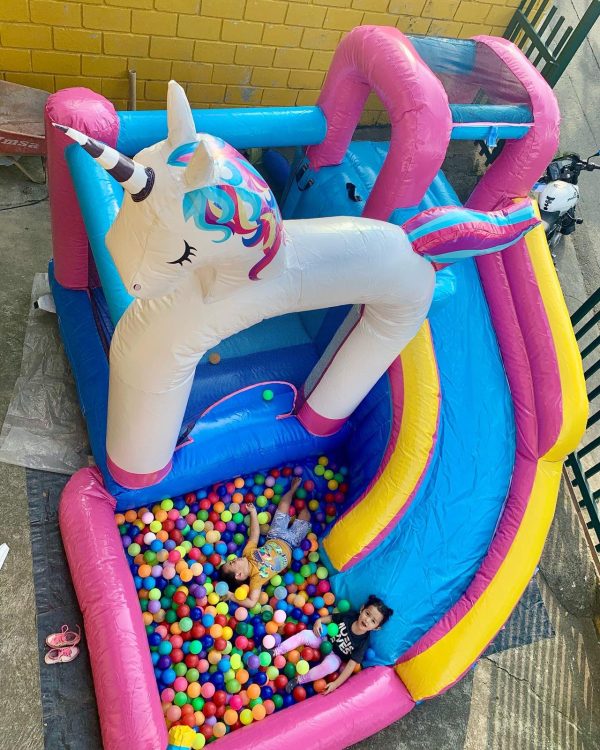 Unicornio - Imagen 2
