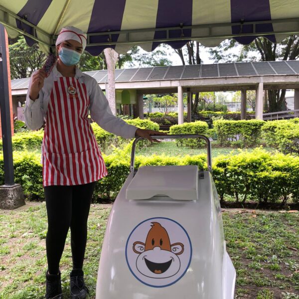 Carrito ICE