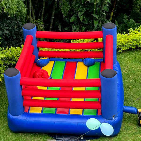 Inflable Ring
